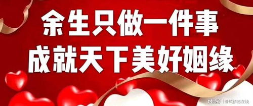 晉城婚戀新風(fēng)尚 初心如“香水百合”，專業(yè)婚介成就美滿姻緣